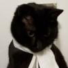 black_cat