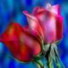 Mahtab